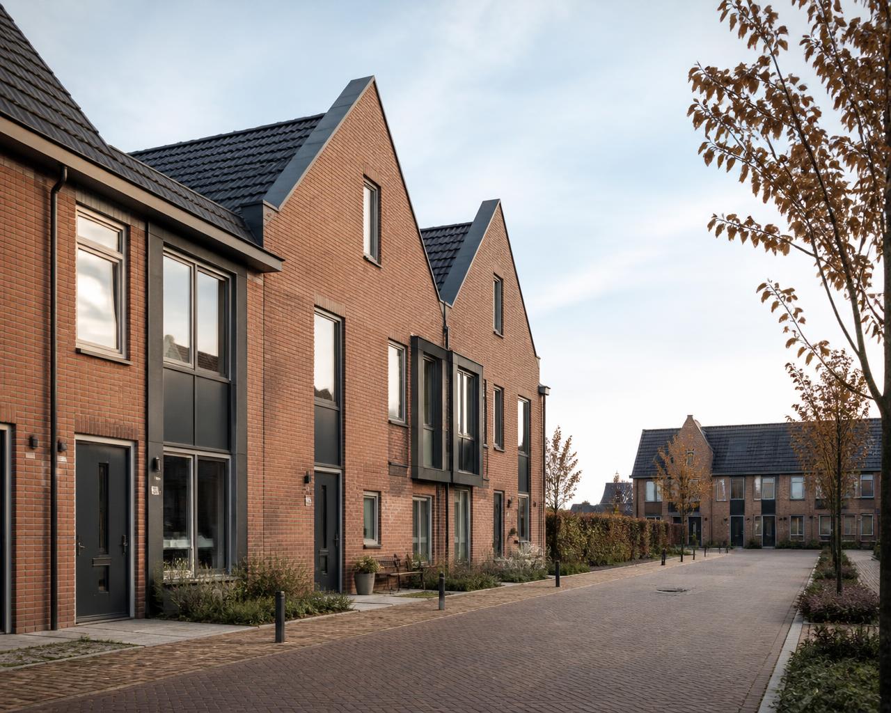 Nederlandse woonstraat met rijwoningen — basis voor de online woninganalyse van Richards